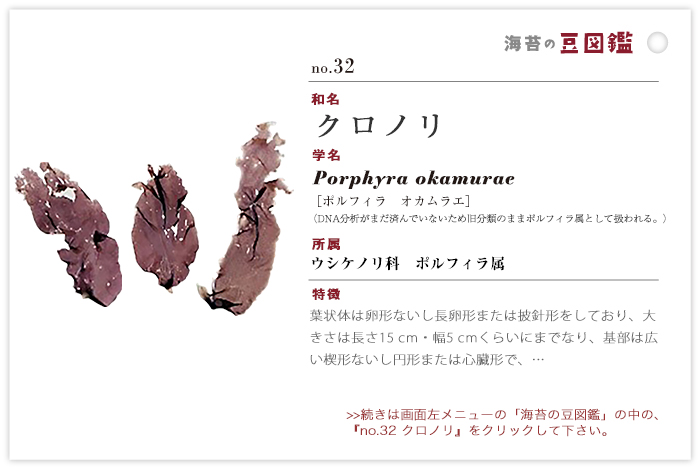 海苔の豆図鑑 no.31 アナアマノリ