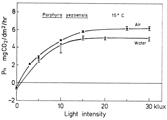 図6. スサビノリ葉状体の空気中（air）および水中（water）における光合成—光曲線の比較。（Gao and Aruga 1987）