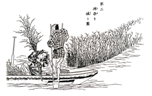 図5. 江戸時代のそだ（のりひび）建て風景