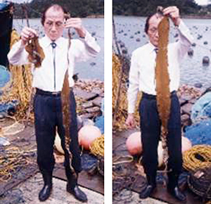 図2. 沖縄・羽地内海で試験養殖したマコンブを持つ佐々木忠義さん(1983年5月1日)