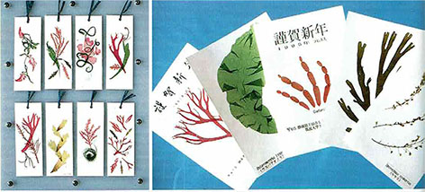 図2　(左) 横濱・野田 1996「海藻おしば －カラフルな色彩の謎－」（海游舎）の表紙 (右) 「海藻おしば教室」で子供たちが作った海藻おしば絵はがき（海藻おしば協会）