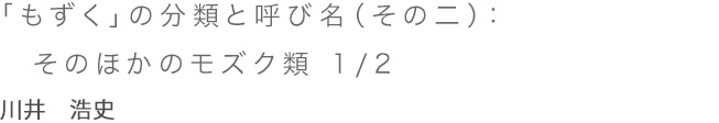 「もずく」の分類と呼び名（その二）：そのほかのモズク類　 1/2 