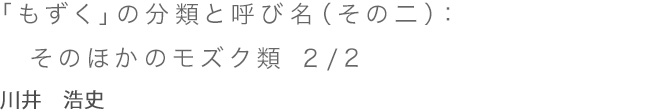 「もずく」の分類と呼び名（その二）：そのほかのモズク類 1/2 