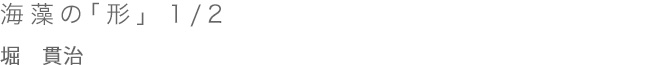 海藻の「形」  1/2