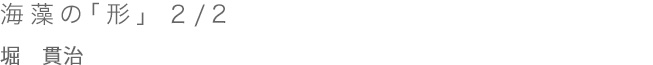 「海藻の「形」 1/2